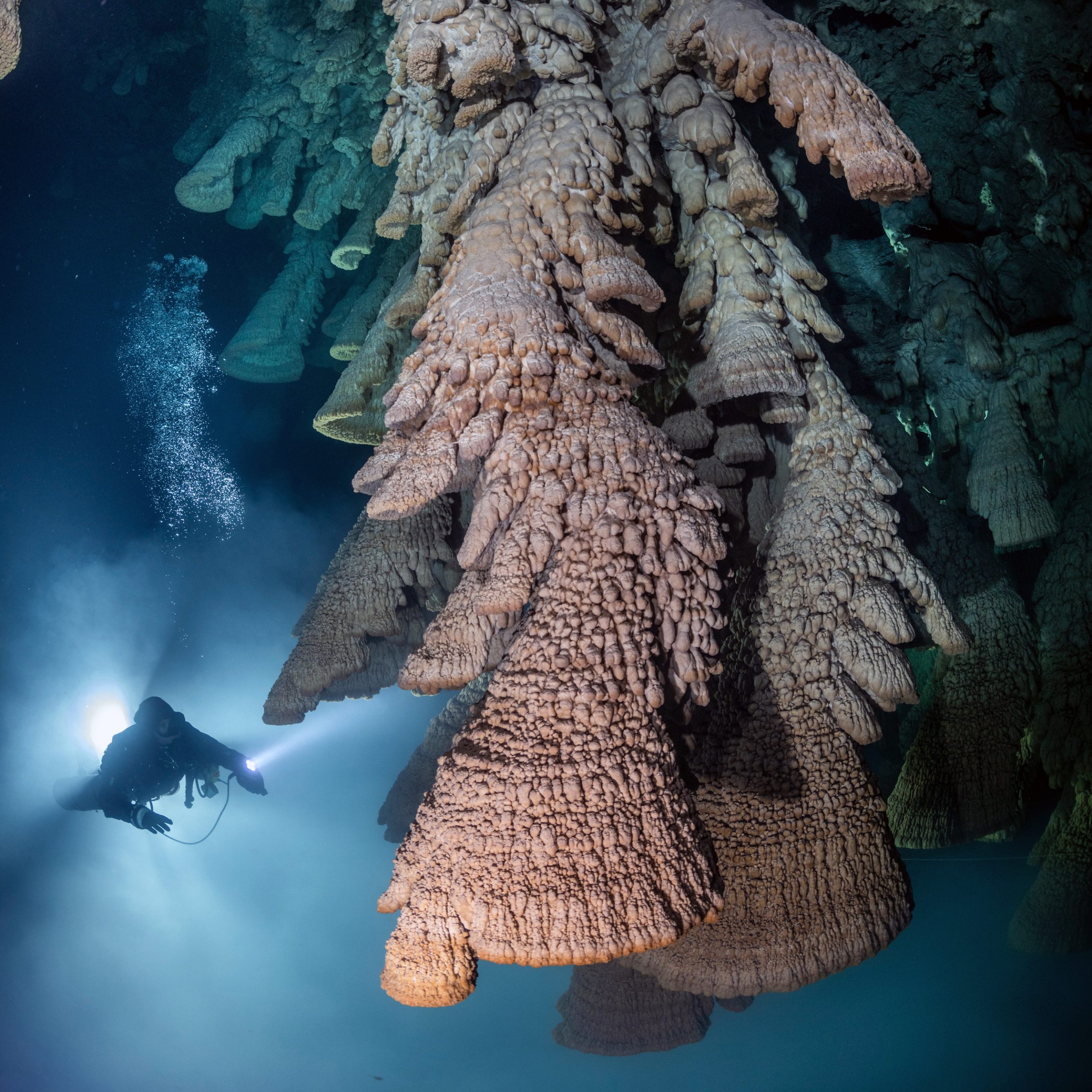 Taucher mit Taschenlampe in einer Cenote