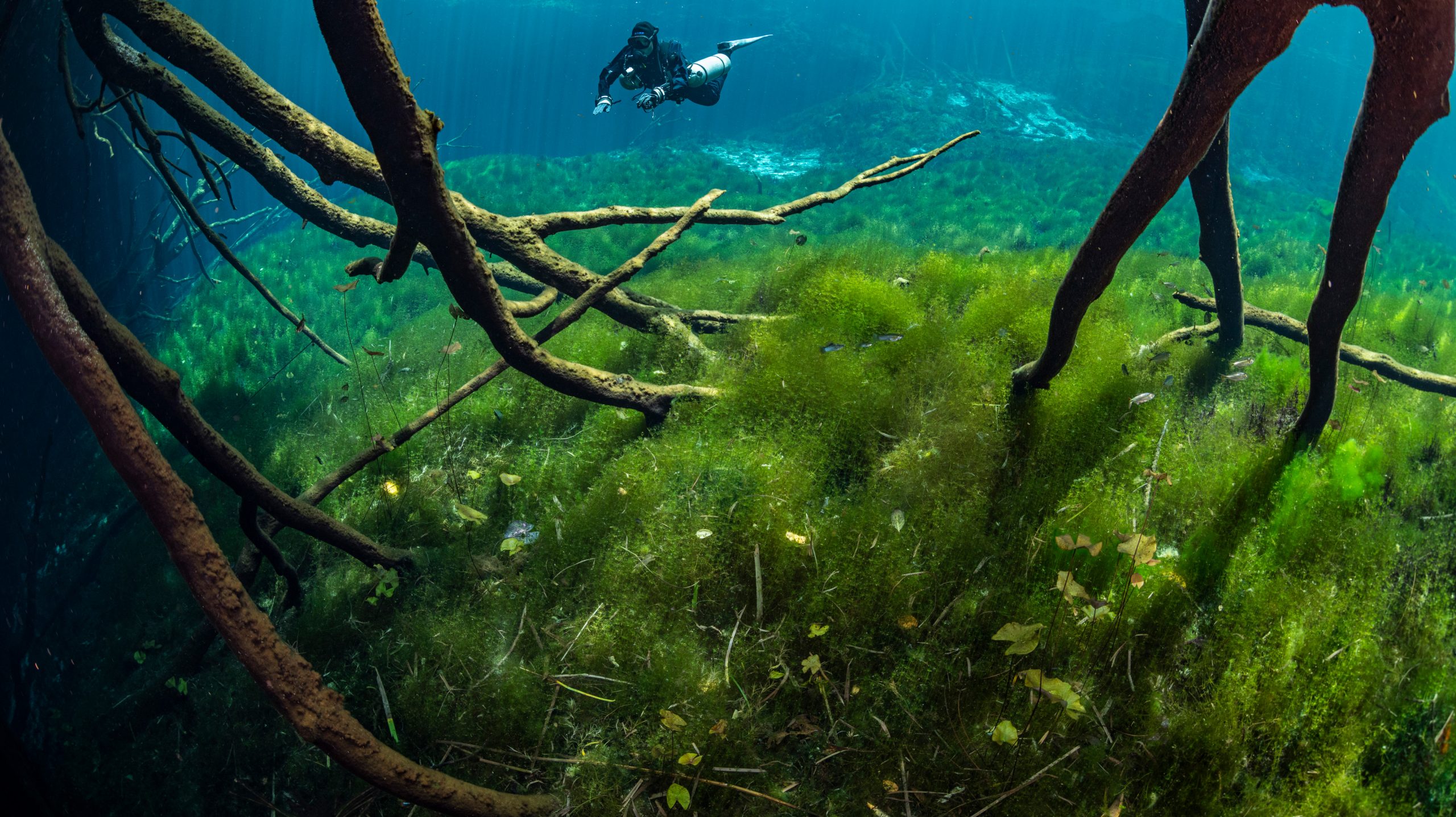 Taucher unter Wasser