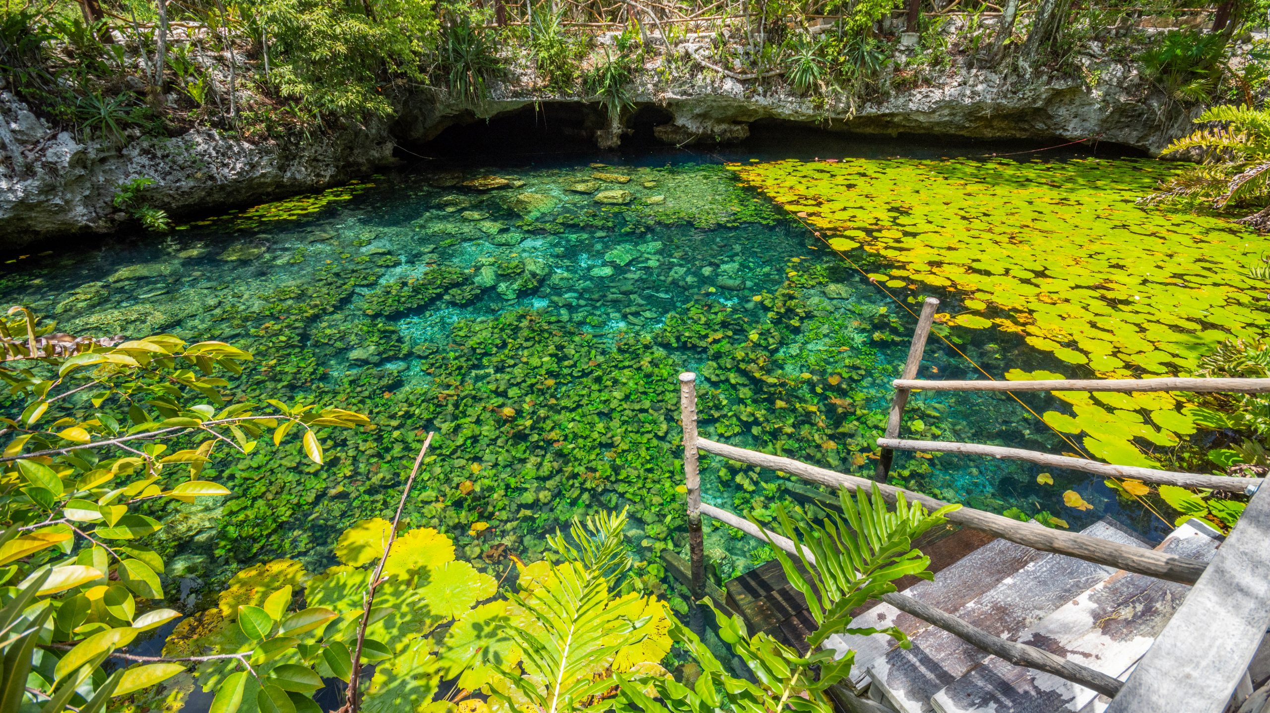 4965-1 Einstieg in eine Cenote in Mexiko