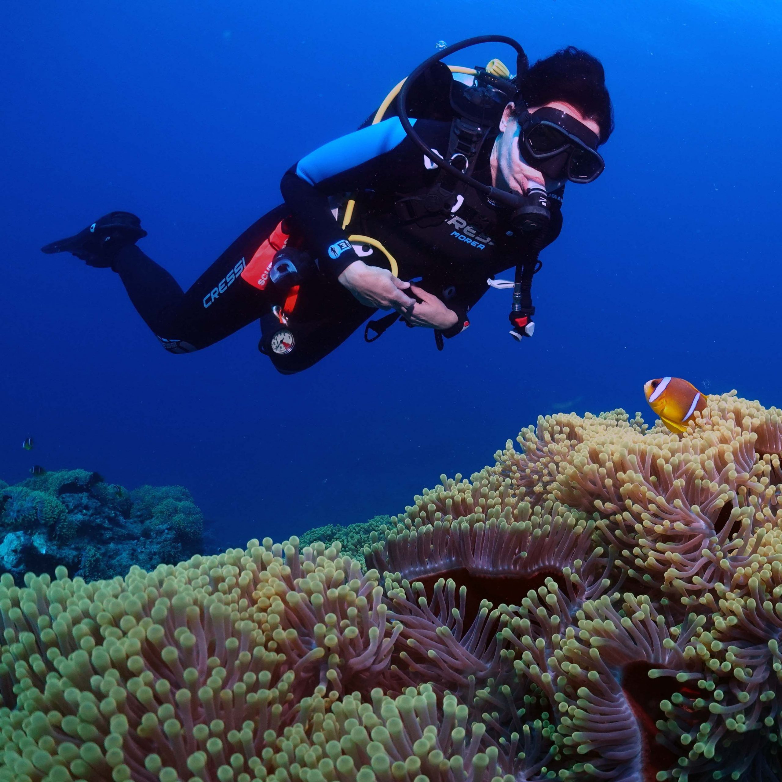 Taucher beim Tarieren.