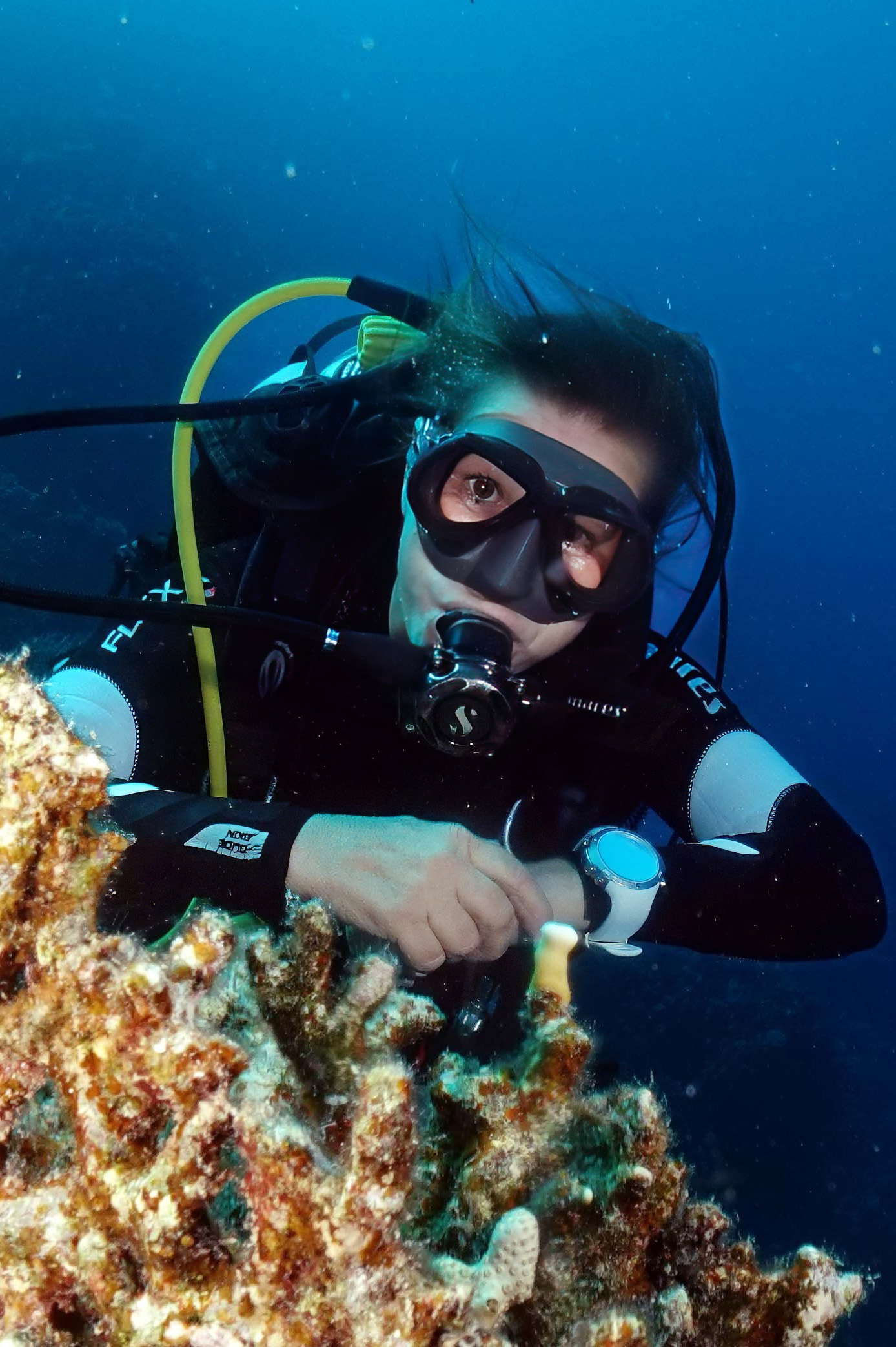 DSC04301_RET2-1 Taucher hinter Koralle mit Tauchcomputer