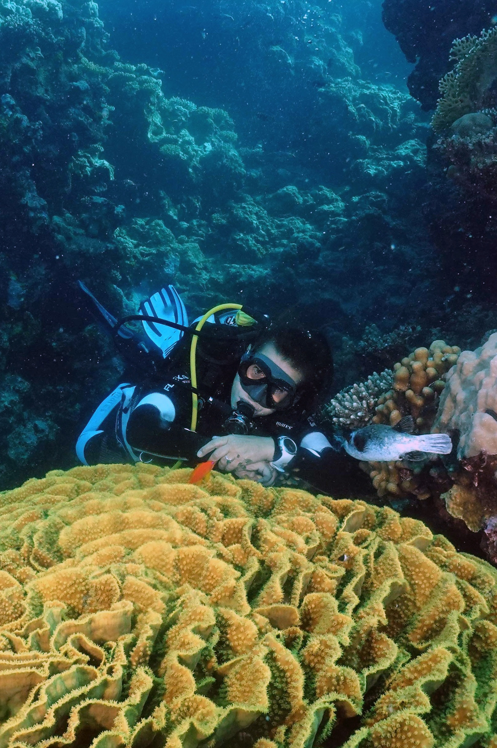 DSC04323_RET2-1 Taucher