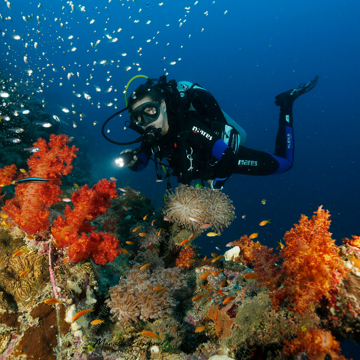 Taucherinn im Roten Meer an einem Korallenriff
